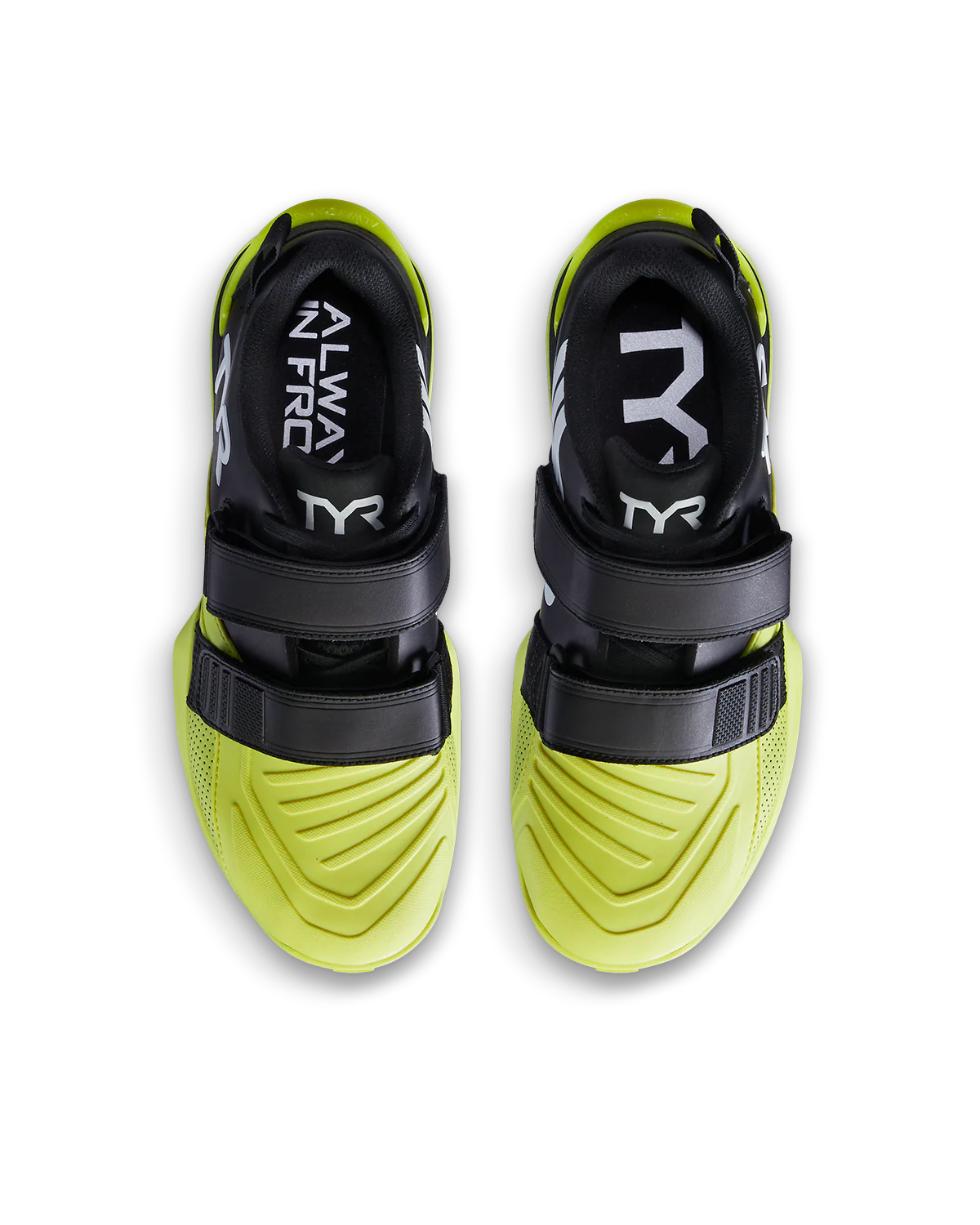 DALENE - LEGGINGS - HEROISMO